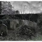 Arundel Graveyard (Three)