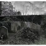 Arundel Graveyard (Three)