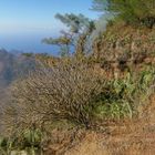  Arure La Gomera Kanarische Insel