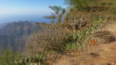  Arure La Gomera Kanarische Insel