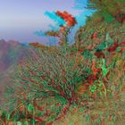 Arure La Gomera Kanarische Insel - Anaglyphen 