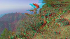 Arure La Gomera Kanarische Insel - Anaglyphen 