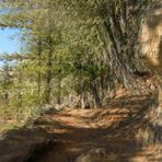 Arure Mirador Del Santo La Gomera Kanaren Spanien - 3D Interlaced 