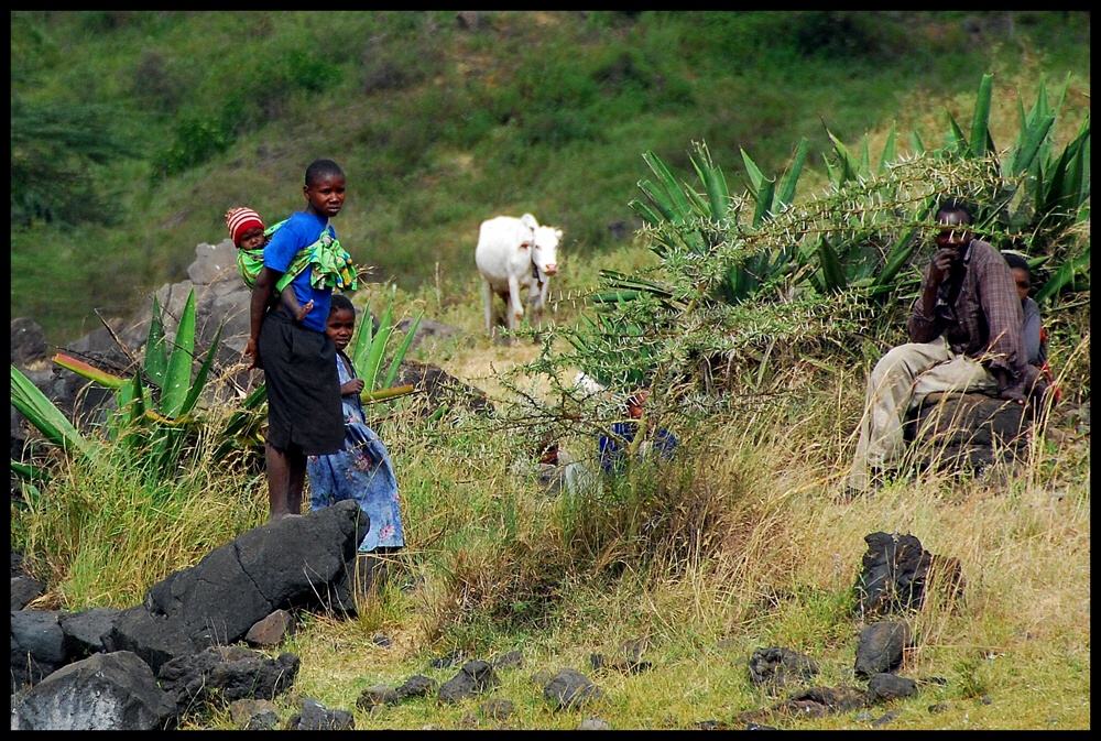 Arusha NP – Wer ist hier die Attraktion?