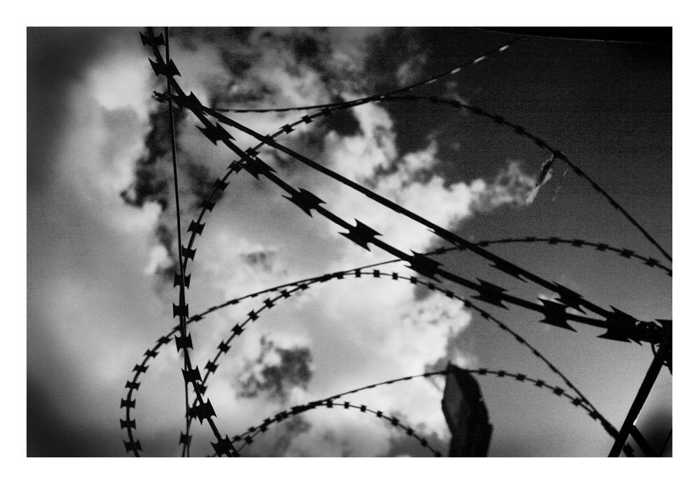 Arzew # 4 - Barbed wire