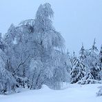 Arzgebirg wie bist du schi