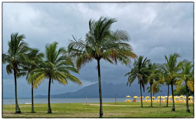 „ As cores do Brasil “