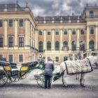 As kitsch as can get - Fiaker vor Schloss Schönbrunn