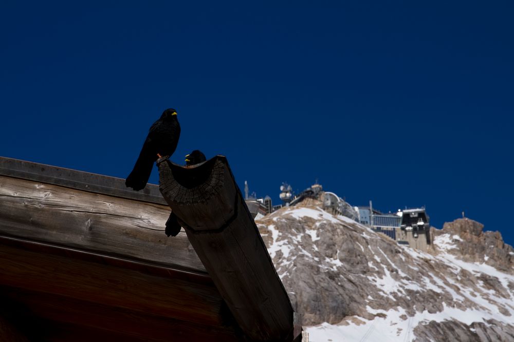 as long as we are still flying the Zugspitze?