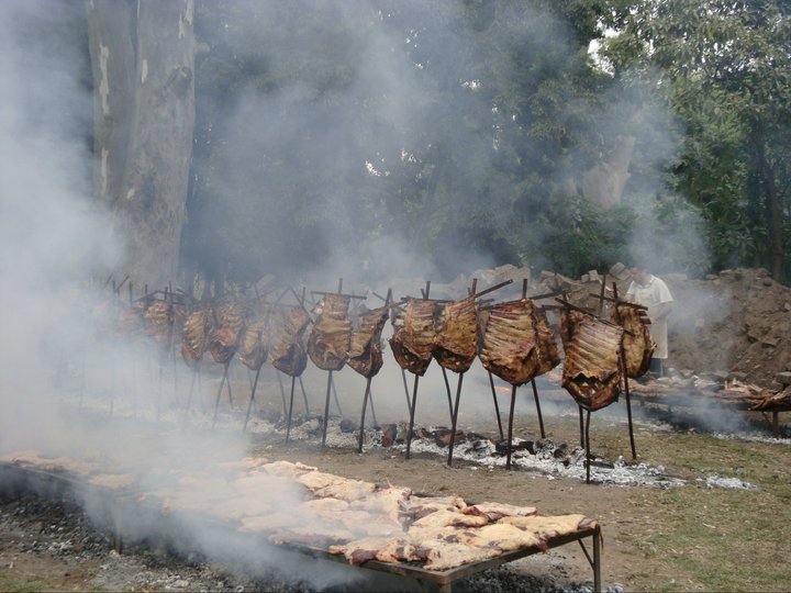 asado dia nacional del gaucho 2010