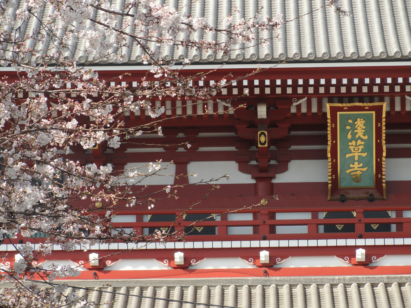 Asakusa-2