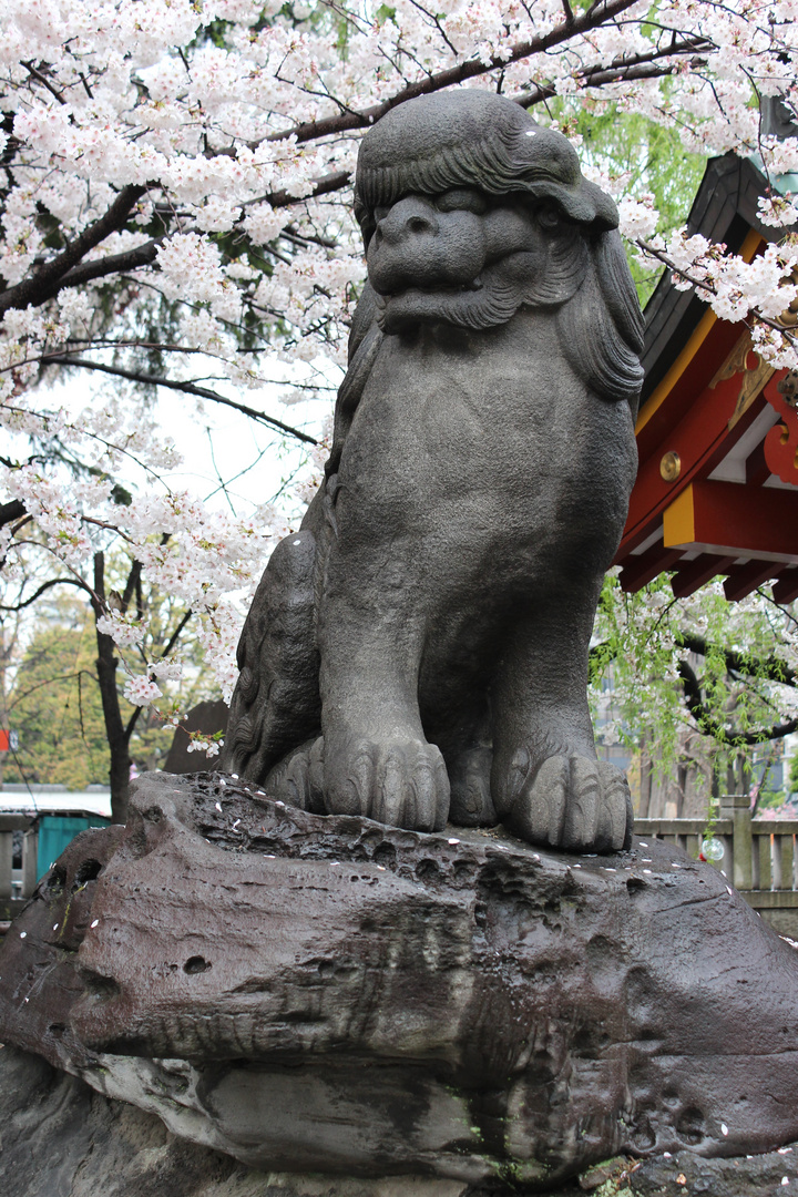 Asakusa Shrine