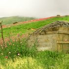 Asalem Road (Iran)