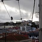 Ascensor do Lavra, Lisboa, P