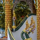 Ascent to Wat Phu Salao