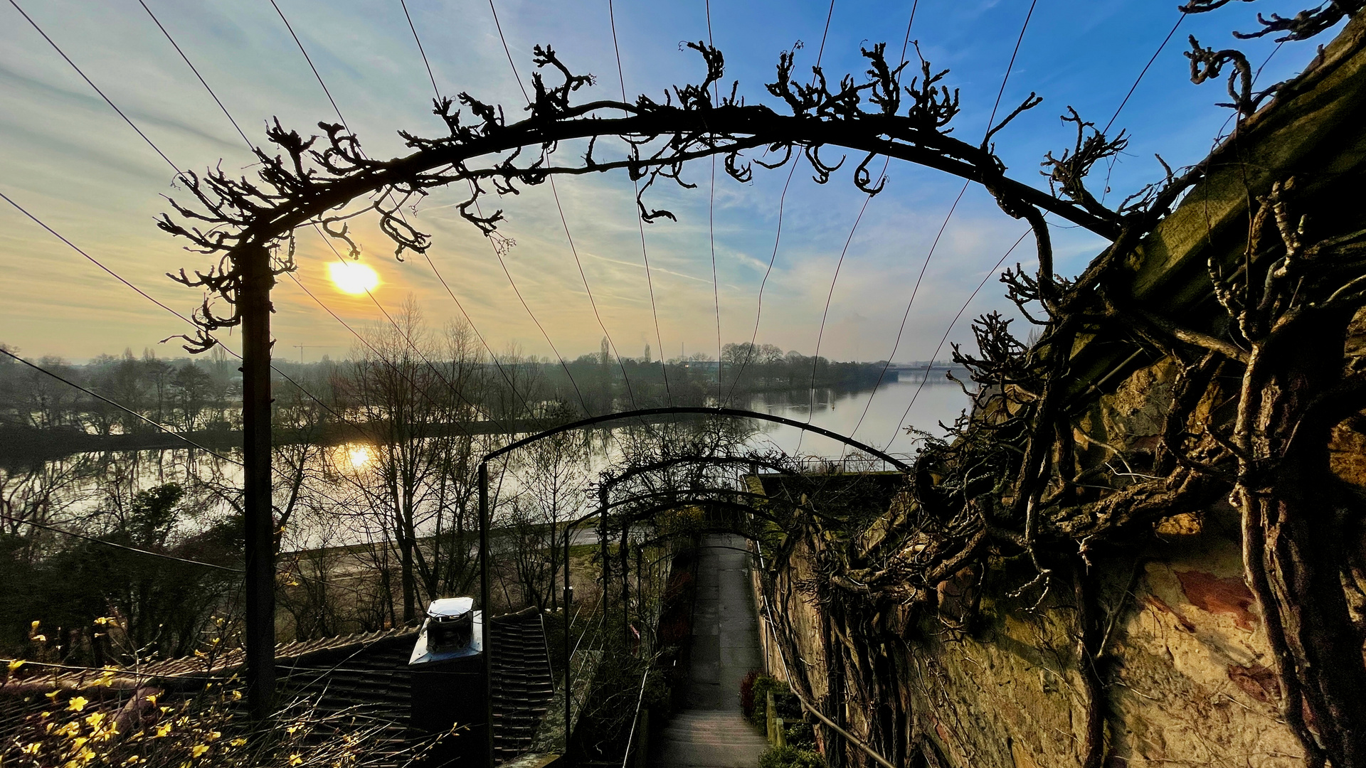 Aschaffenburg - Moody view at the Main River in Januray (2022)