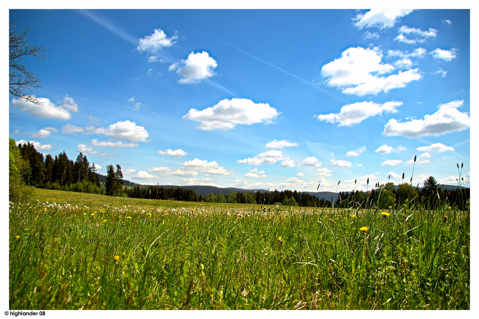 Aschbergblick 