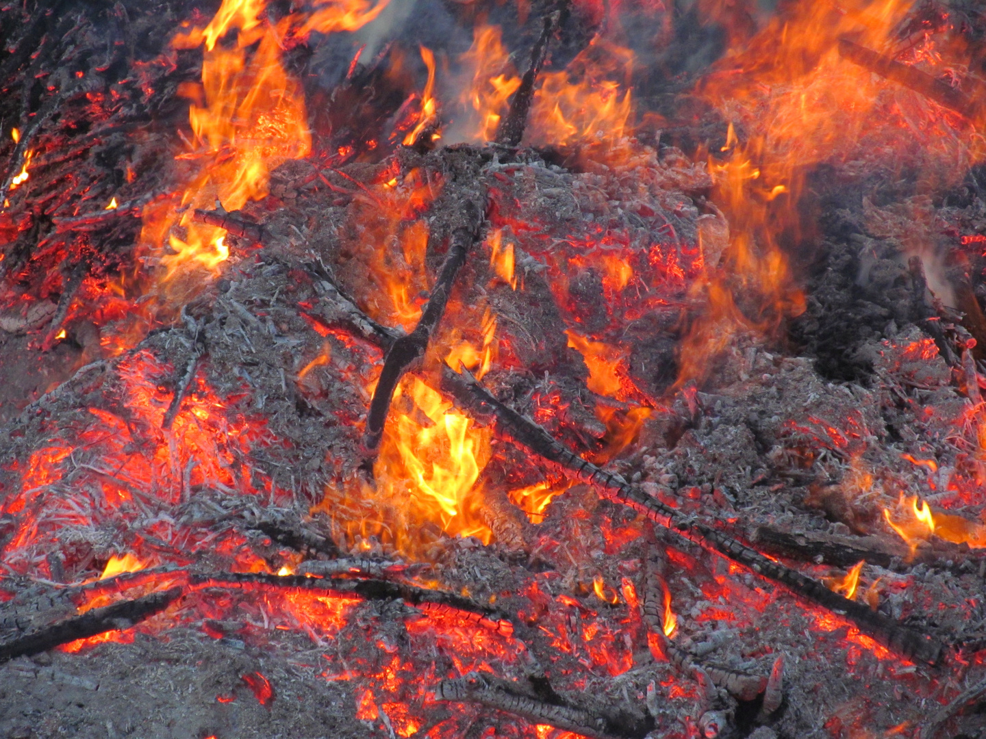 asche zu feuer foto bild world spezial asche zu feuer foto bild world spezial