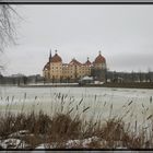 "Aschenbrödelschloß" Moritzburg im Winter