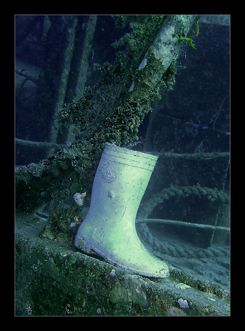 Aschenputtel im Roten Meer