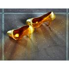 Aschenputtels goldene Schuhe