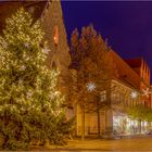 Aschersleben hat einen schönen Weihnachtsbaum