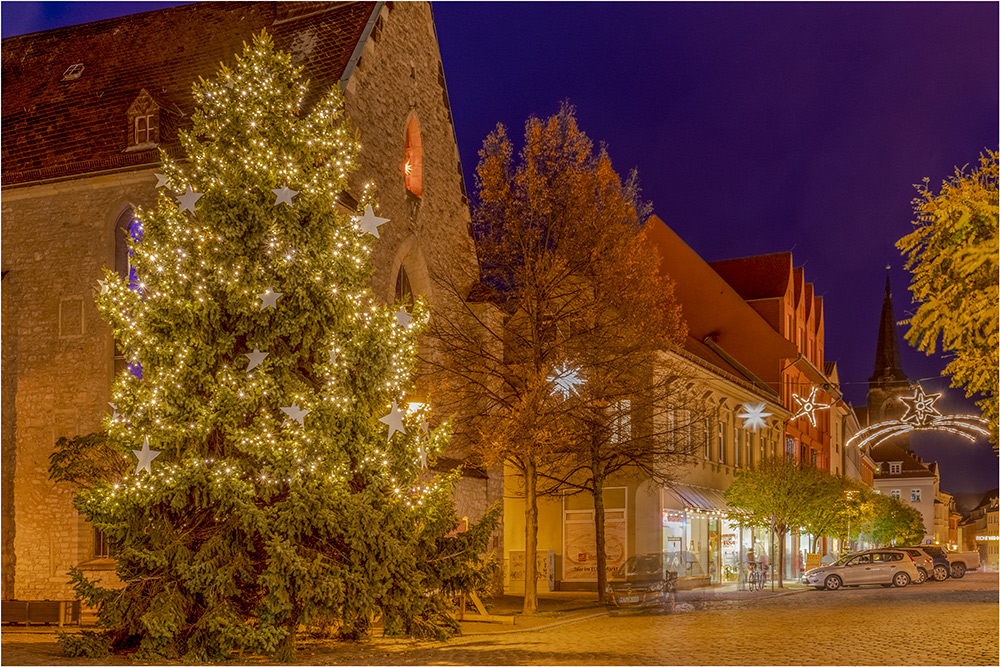 Aschersleben hat einen schönen Weihnachtsbaum