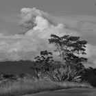 Aschewolke am 31.10.2014 über dem Vulkan Turrialba, Costa Rica