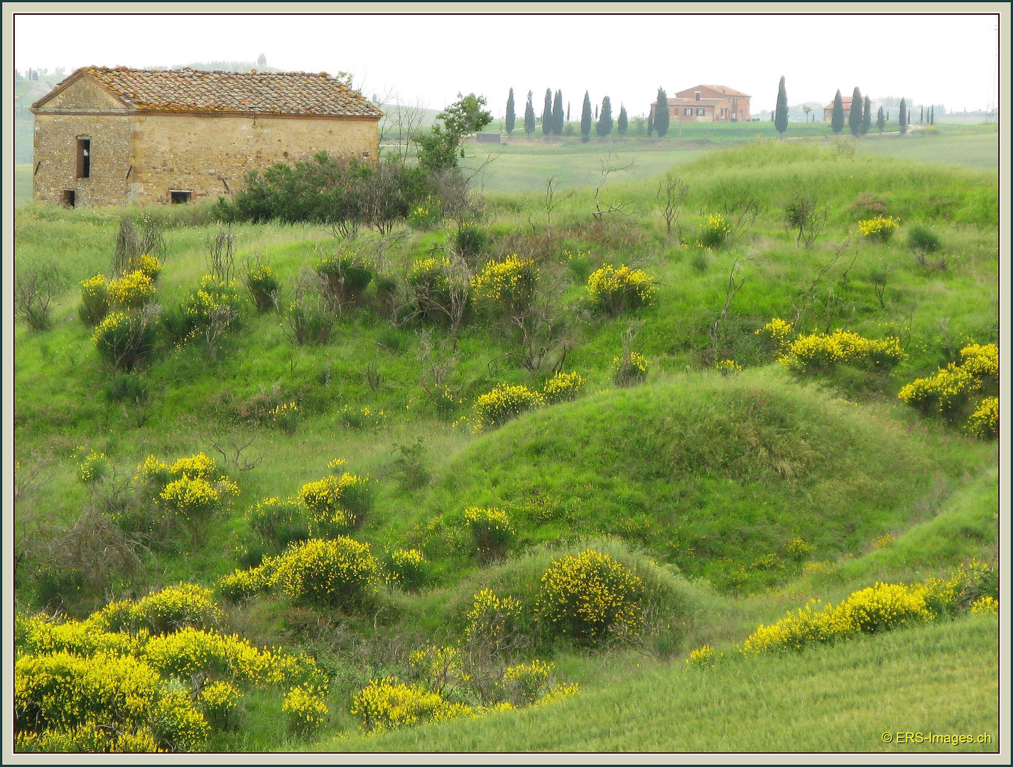 Asciano Toscana 240608 223 ©