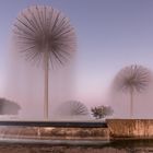 Asco-Brunnen Romanshorn (CH) am Bodensee