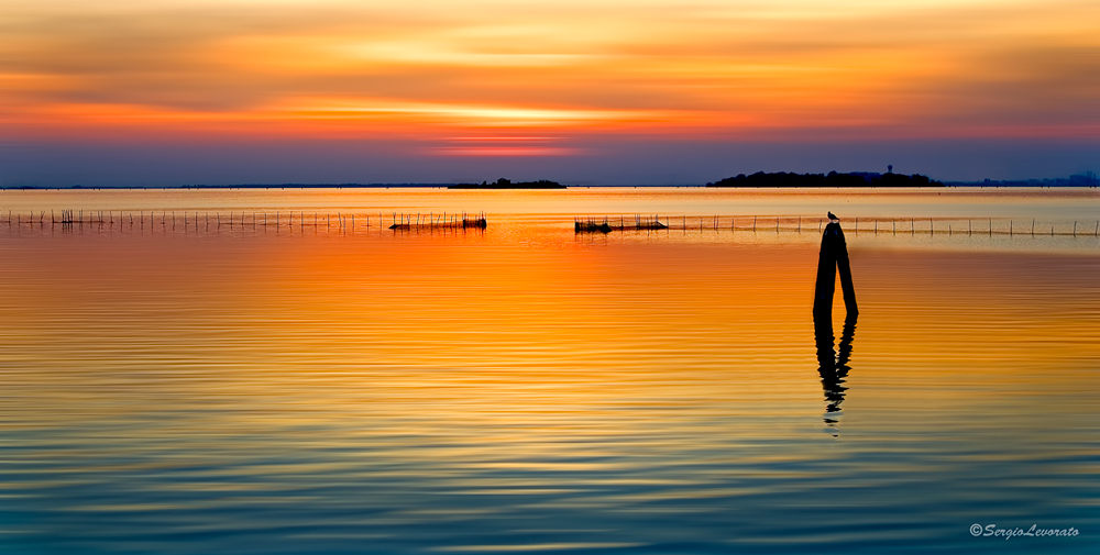 Ascoltando il silenzio 2