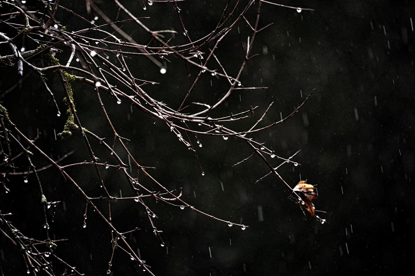 Ascolta....piove