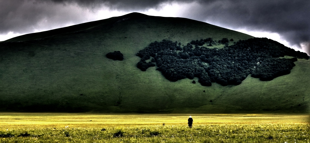 Ascoltare il silenzio...