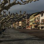 Ascona