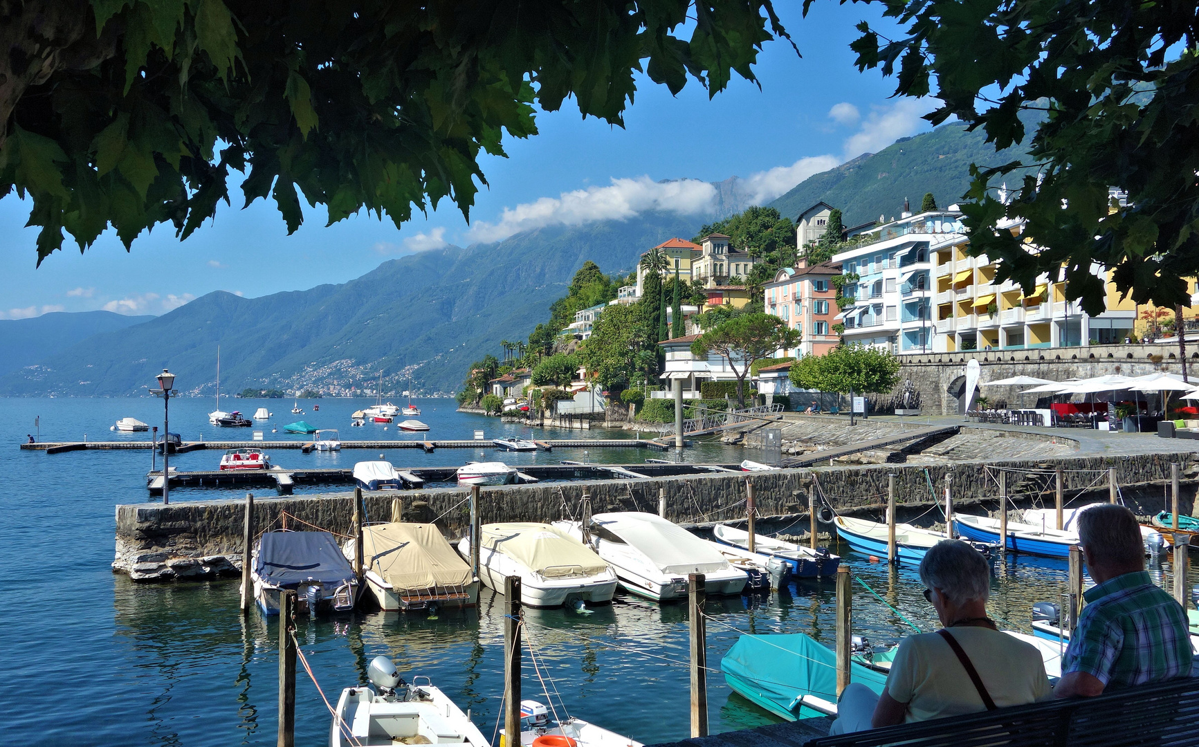 ascona blick auf den bootshafen