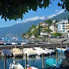 ascona blick auf den bootshafen