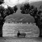 Ascona