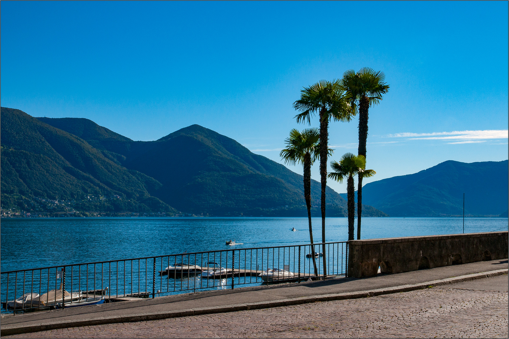 Ascona Foto & Bild | am wasser, tessin, lago maggiore Bilder auf ...