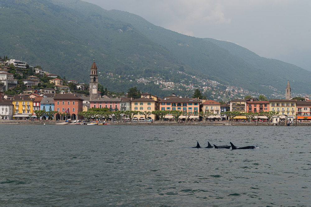 Ascona