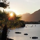 Ascona früh am Morgen