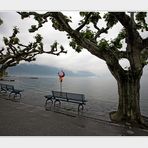 Ascona-Nebelstimmung