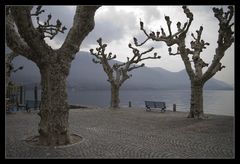 Ascona - Ostern 2006