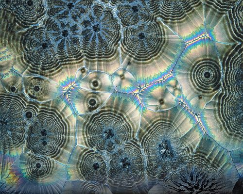 Ascorbinsäure Panoramamakro