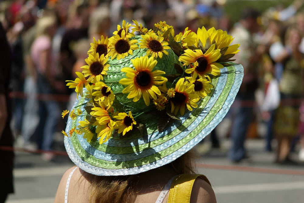 Ascot oder Schlagermove?