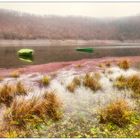 Asel Edersee-Atlantik im Herbst