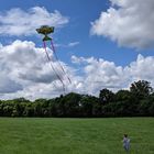 Asher chases a kite