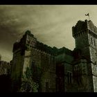 Ashford Castle 2