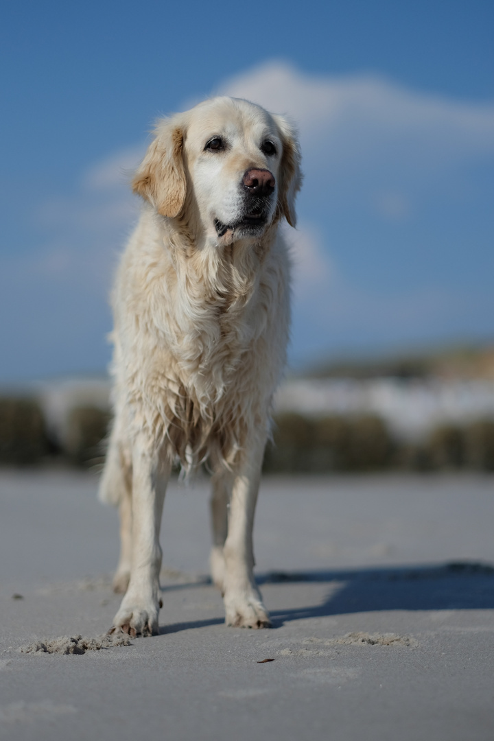 Ashley am Lieblingsstrand