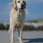 Ashley am Lieblingsstrand