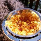 Ashtray with Hailstones